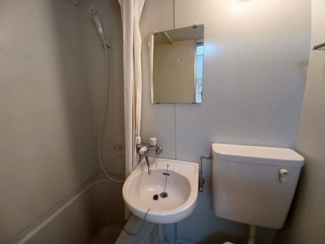  ビーラインミュー