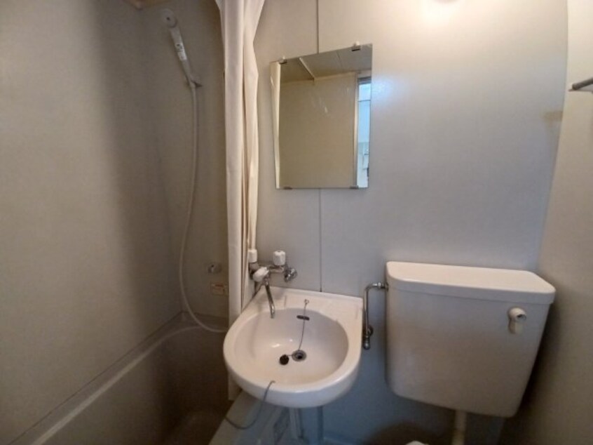  ビーラインミュー