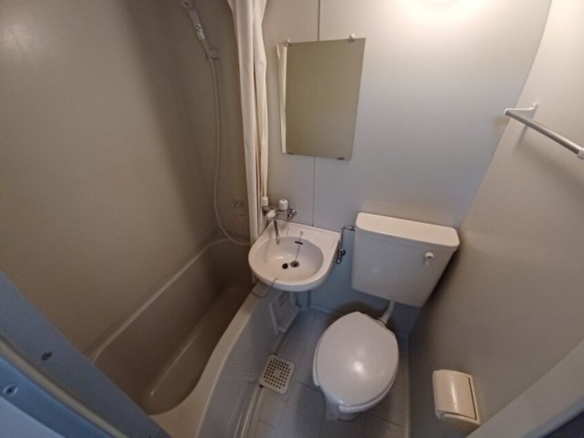  ビーラインミュー