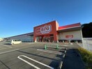 ザ・ビッグエクストラ玉城店(ショッピングセンター/アウトレットモール)まで1710m ペルラ（ＰＥＲＬＡ）