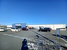 スーパーセンタートライアル伊勢店(ショッピングセンター/アウトレットモール)まで2154m ペルラ（ＰＥＲＬＡ）