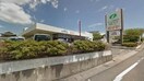 ぎゅーとら波切店(スーパー)まで468m ツインビーテラス波切