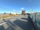  テージス