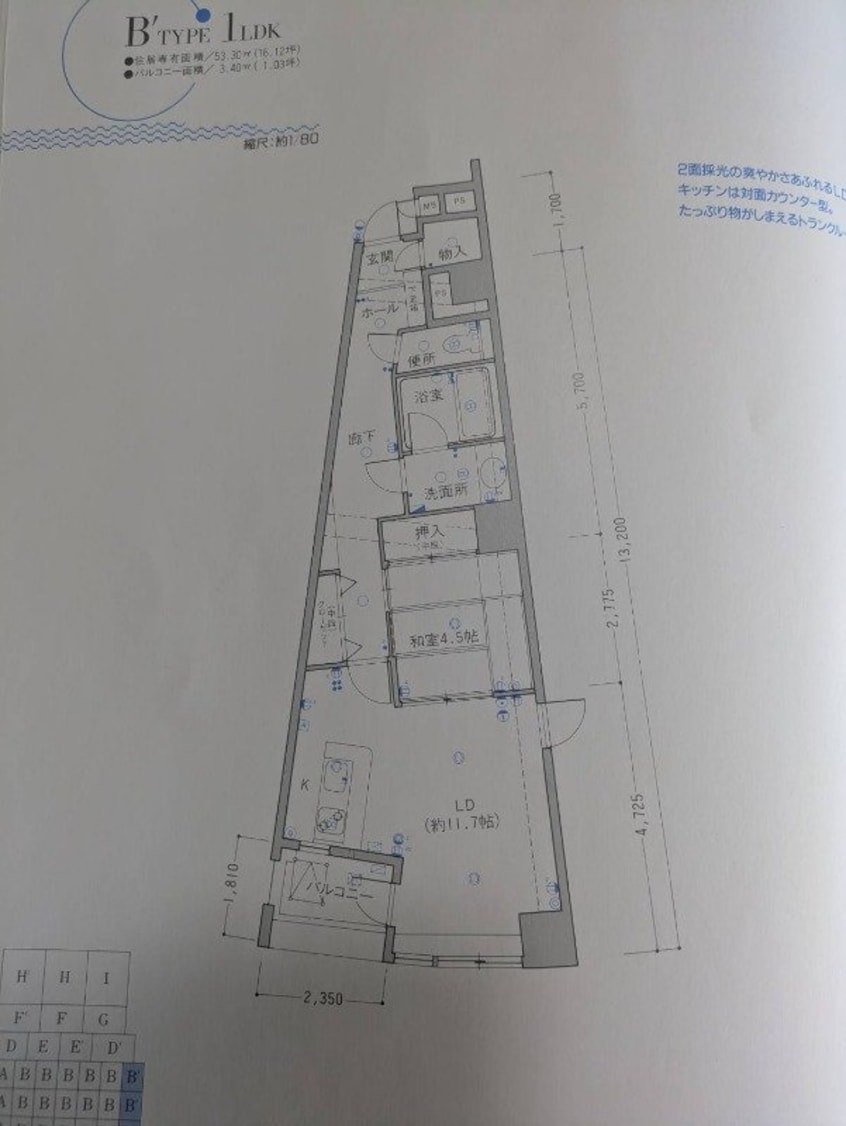 間取図 ラウムズ大王埼