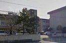 伊勢市立港中学校(中学校/中等教育学校)まで1294m ピアヌーラ