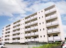 ビレッジハウス安楽島１号棟の外観