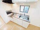 同型部屋写真です。角部屋ではないので窓はありません。 グリーンヴィラⅠ