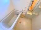 同一タイプ部屋写真 エリュシオン　Ａ棟