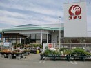 コメリハード＆グリーン二見店(電気量販店/ホームセンター)まで1705m エリュシオン　Ａ棟