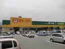 ぎゅーとらラブリー藤里店(スーパー)まで1909m Life　Sakuragi　Ⅱ