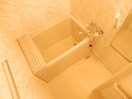 同タイプ部屋写真です。 スターリィ・パレスⅠ