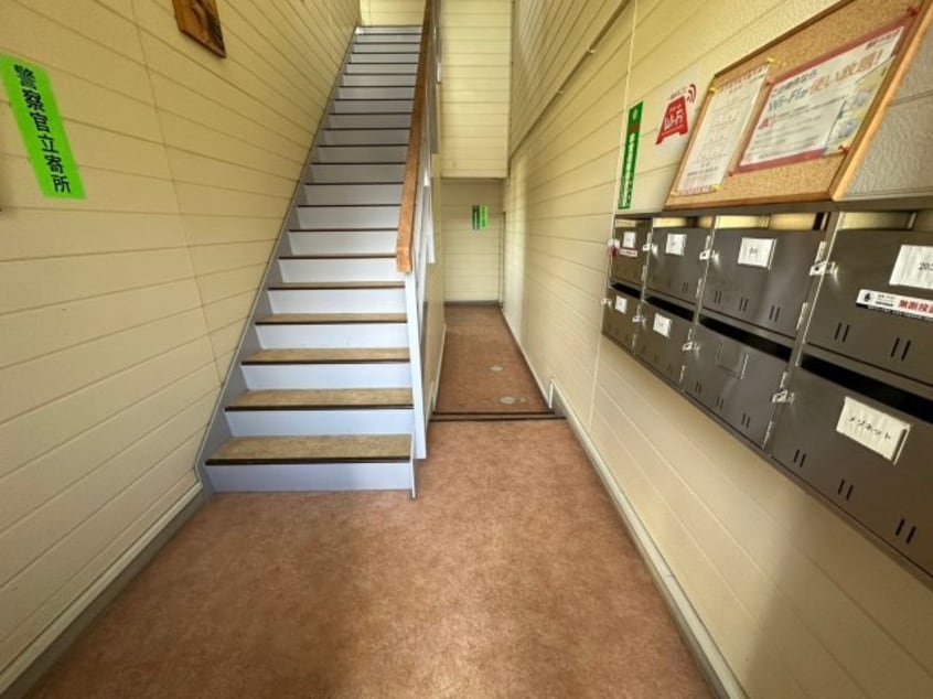  ベル・アンダーソン