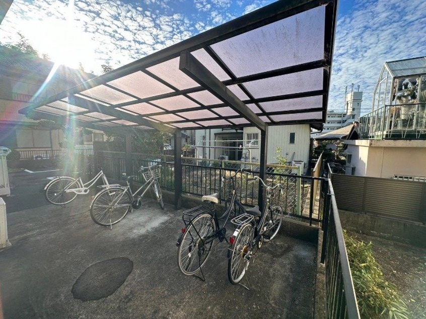  ベル・アンダーソン