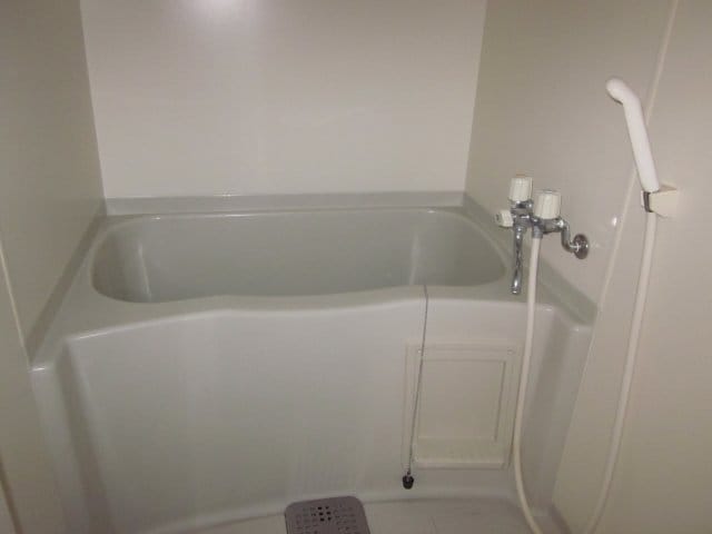  ベル・アンダーソン