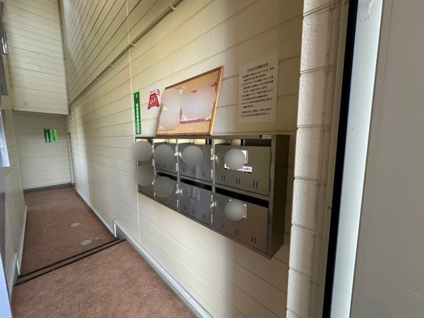  ベル・アンダーソン