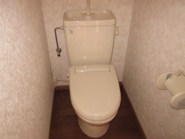  ベル・アンダーソン