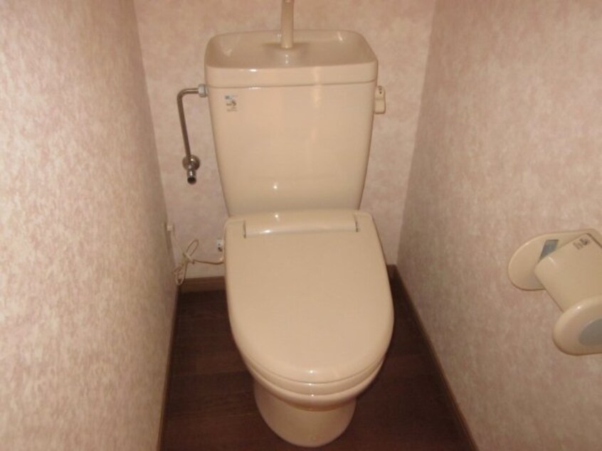  ベル・アンダーソン