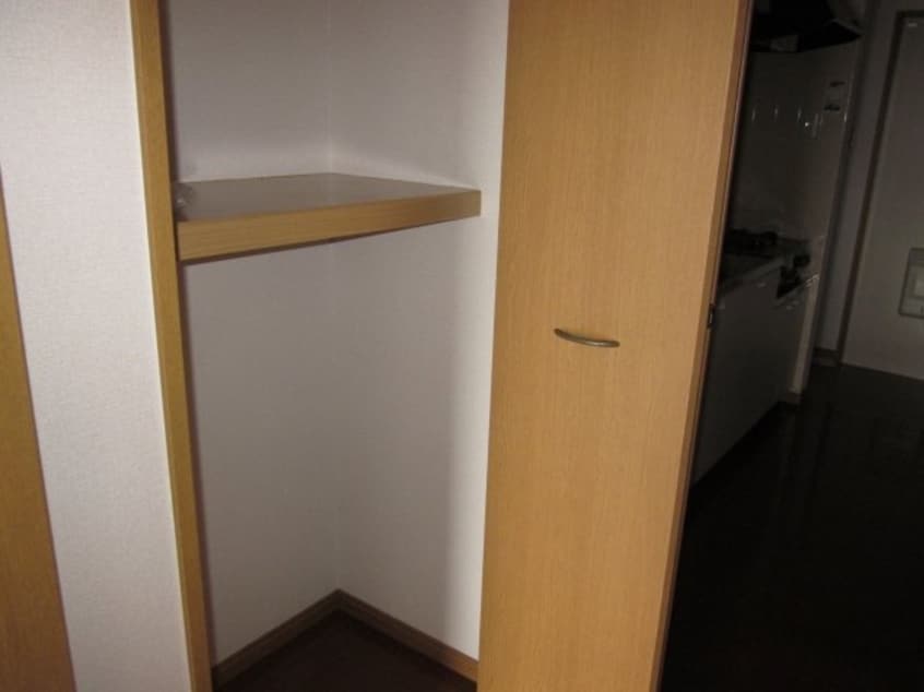  ベル・アンダーソン