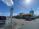 ザ・ビッグエクスプレス神田久志本店(ショッピングセンター/アウトレットモール)まで651m セレッソ　Ｂ棟
