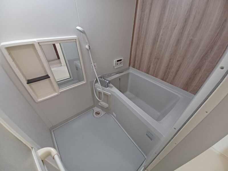 同型参考写真 Ａｘｉｓ．Ｍ　Ａ