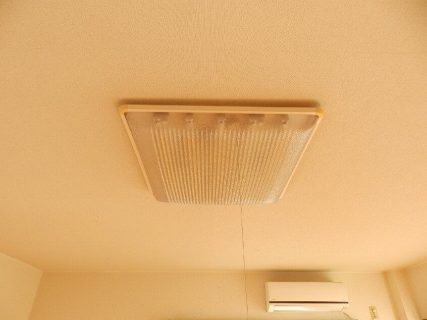  サニープレイス