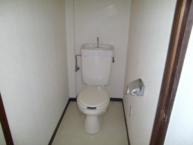  ホワイトピジョン