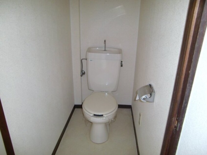  ホワイトピジョン