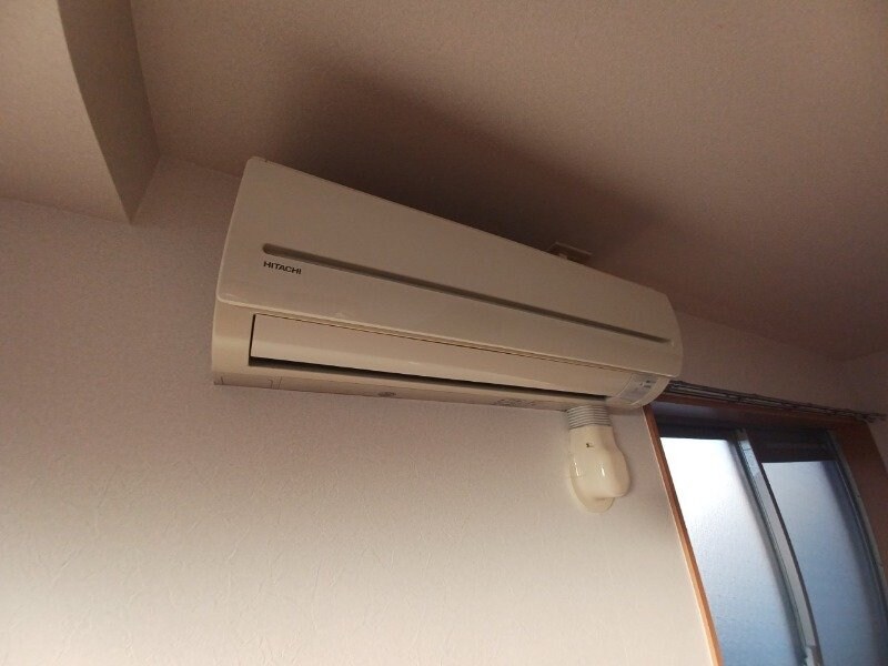  コーラルガーデン