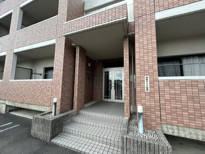  プラムファイン