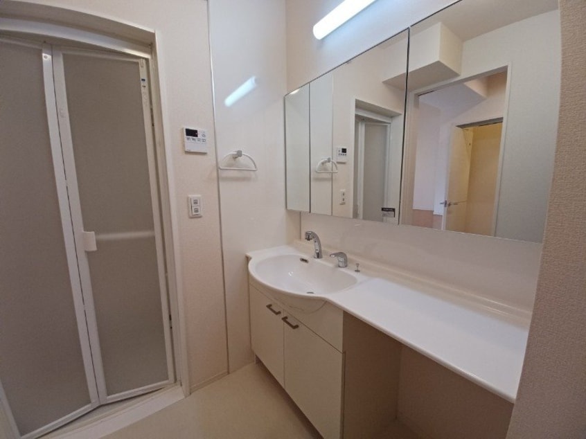 同型反転参考写真 エルグランデ