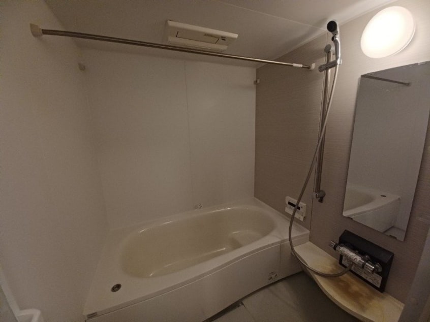 同型反転参考写真 エルグランデ