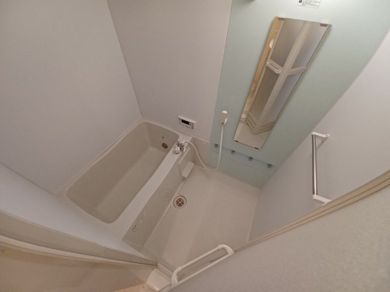 同型参考写真 Ｔｅｔｒｅ Ｒｏｕｇｅ