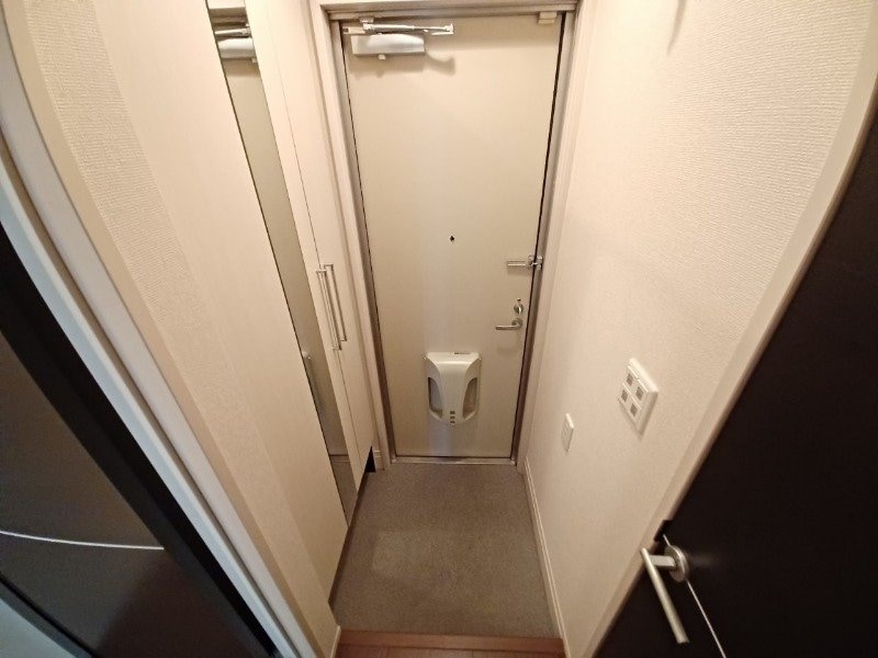 同型参考写真 Ｔｅｔｒｅ Ｒｏｕｇｅ