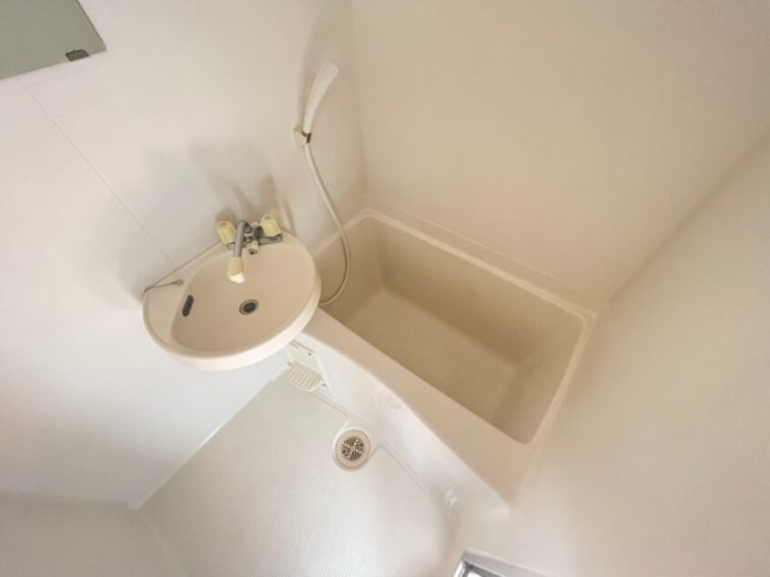 同型参考写真 アイボンラビアン