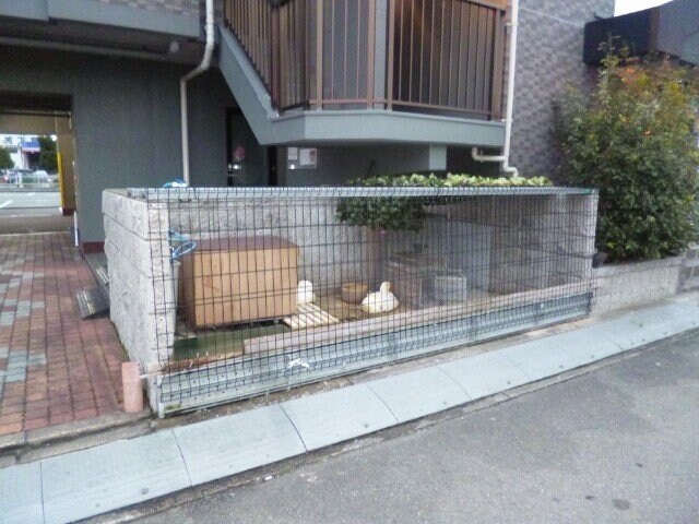  アイボンラビアン