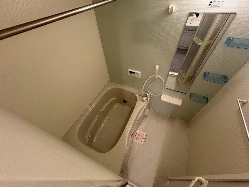 同型反転参考写真 フォルシュ　ハイム　Ａ