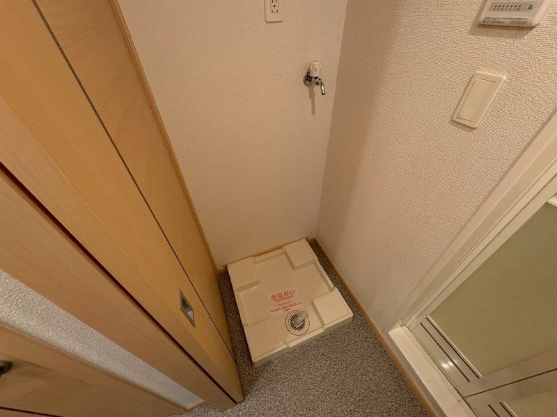 同型反転参考写真 フォルシュ　ハイム　Ａ