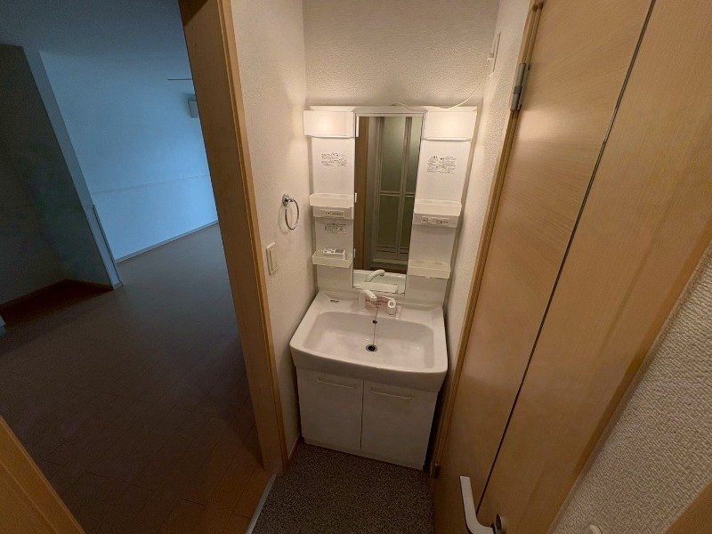 同型反転参考写真 フォルシュ　ハイム　Ａ