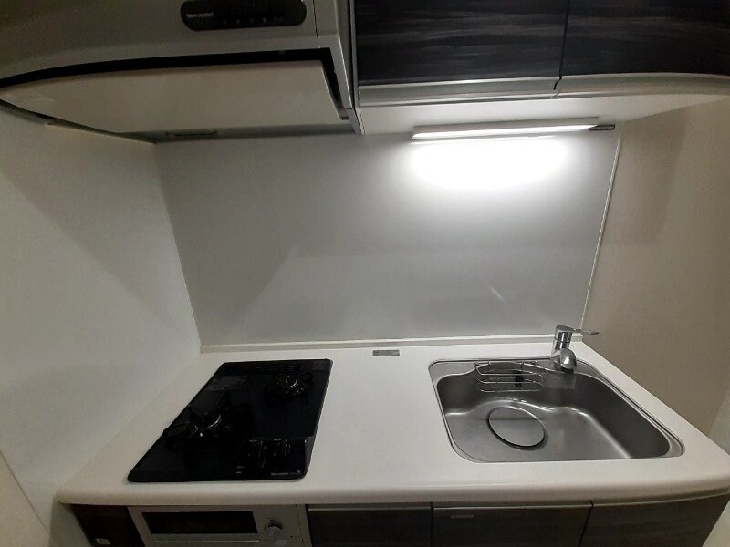 反転タイプ参考写真 ＬＩＡＮＧＥ