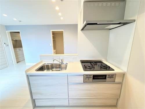  Ｓｈａ　Ｍａｉｓｏｎ　新正