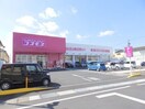 ディスカウントドラッグコスモス末永店(ドラッグストア)まで193m アムール一本木Ⅱ