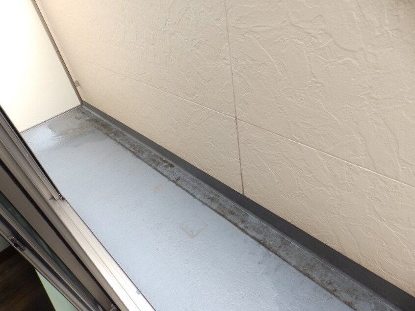 同型参考写真 カーサディ・フワリ