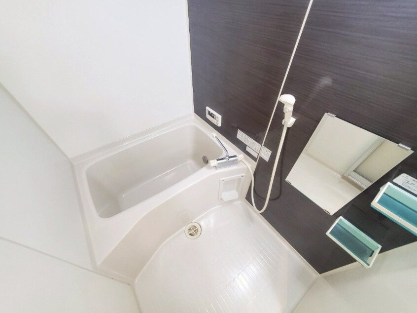 同型反転参考写真 Ｍ’ｓソレイユ