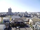  ロイヤルサイキ