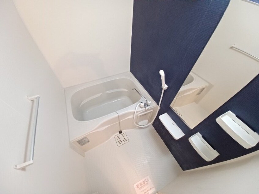 反転タイプ参考写真 Ｓｕｎｒｉｓｅ　Ｙ