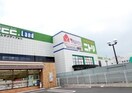 ニトリ四日市店(電気量販店/ホームセンター)まで586m レジデンス浜田