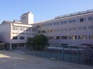 四日市市立中部中学校(中学校/中等教育学校)まで543m フィオーレ堀木