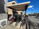  コージィーコート
