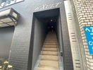  ＥＸＵＬＴ