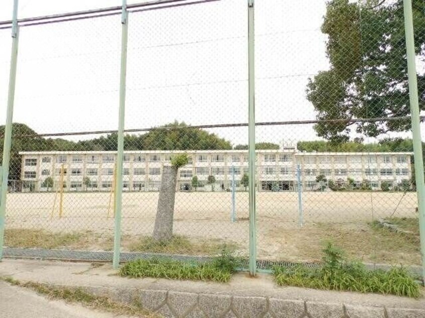 四日市市立四郷小学校(小学校)まで1789m アリビオ東日野